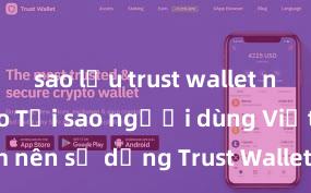 sao lưu trust wallet như thế nào Tại sao người dùng Việt Nam nên sử dụng Trust Wallet? Lợi ích và rủi ro