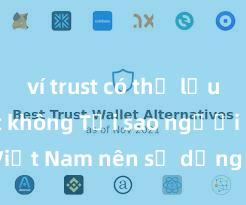 ví trust có thể lưu trữ usdt không Tại sao người dùng Việt Nam nên sử dụng Trust Wallet? Lợi ích và rủi ro